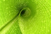 世界体操单项赛裁判评分回放系统国际推广启动，世界体操2021