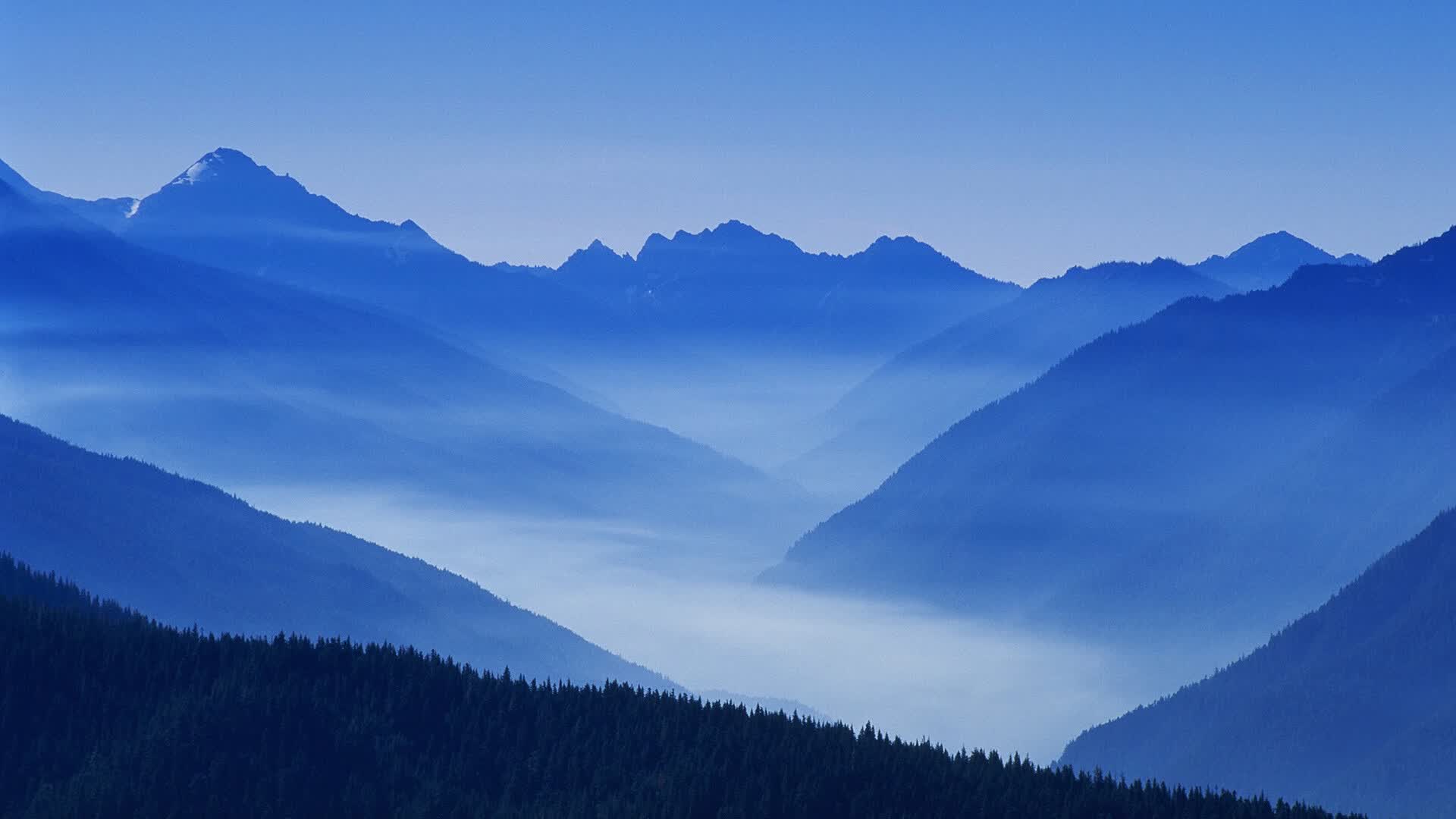 世界举重青年联赛优秀教练评选结果出炉,世界举重冠军是多少
